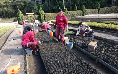 Vivero Robledales EPM